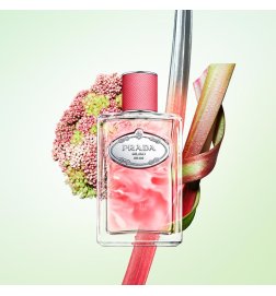 Rhabarber-Infusion - Verspieltes blumig-fruchtiges Eau de Parfum Rhabarber-Infusion - Verspieltes blumig-fruchtiges Eau de Parfum